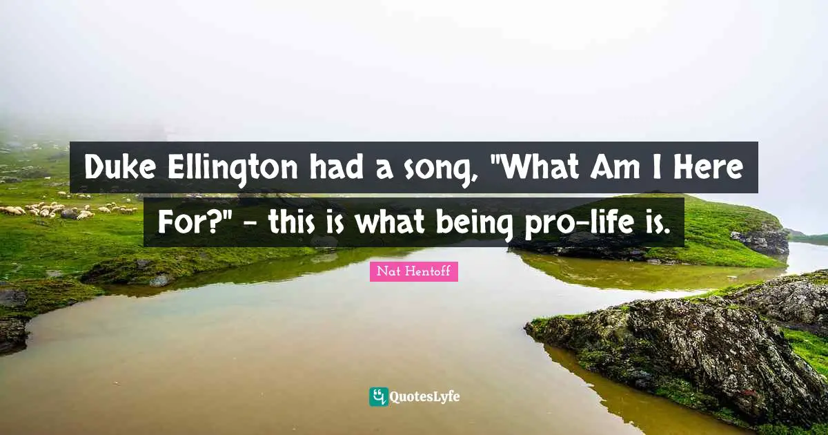 Duke Ellington had a song, "What Am I Here For?" - this is what being pro-life is.