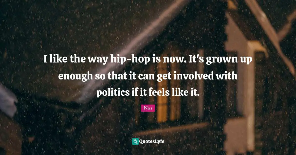 I like the way hip-hop is now. It's grown up enough so that it can get involved with politics if it feels like it.