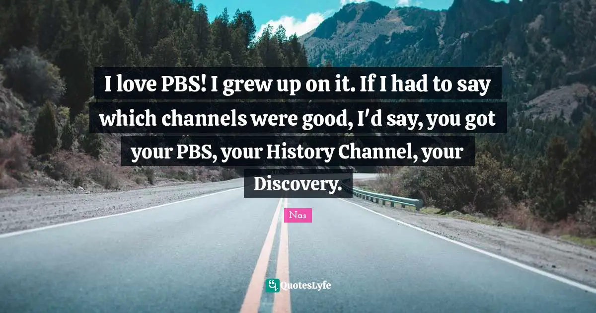 I love PBS! I grew up on it. If I had to say which channels were good, I'd say, you got your PBS, your History Channel, your Discovery.