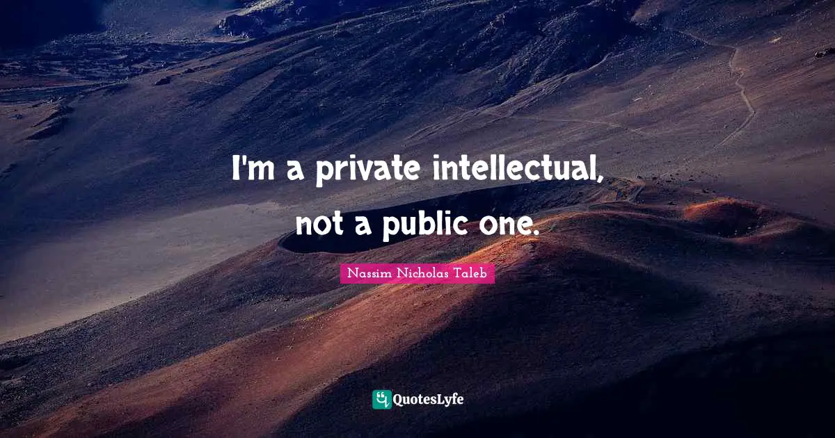 I'm a private intellectual, not a public one.