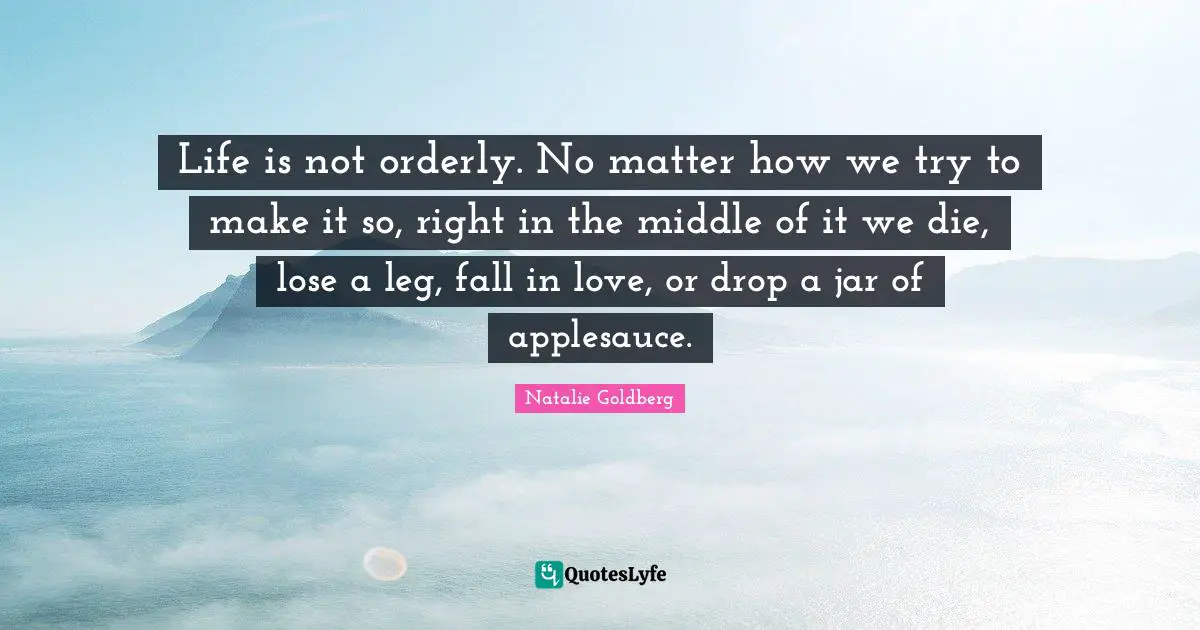 Life is not orderly. No matter how we try to make it so, right in the middle of it we die, lose a leg, fall in love, or drop a jar of applesauce.