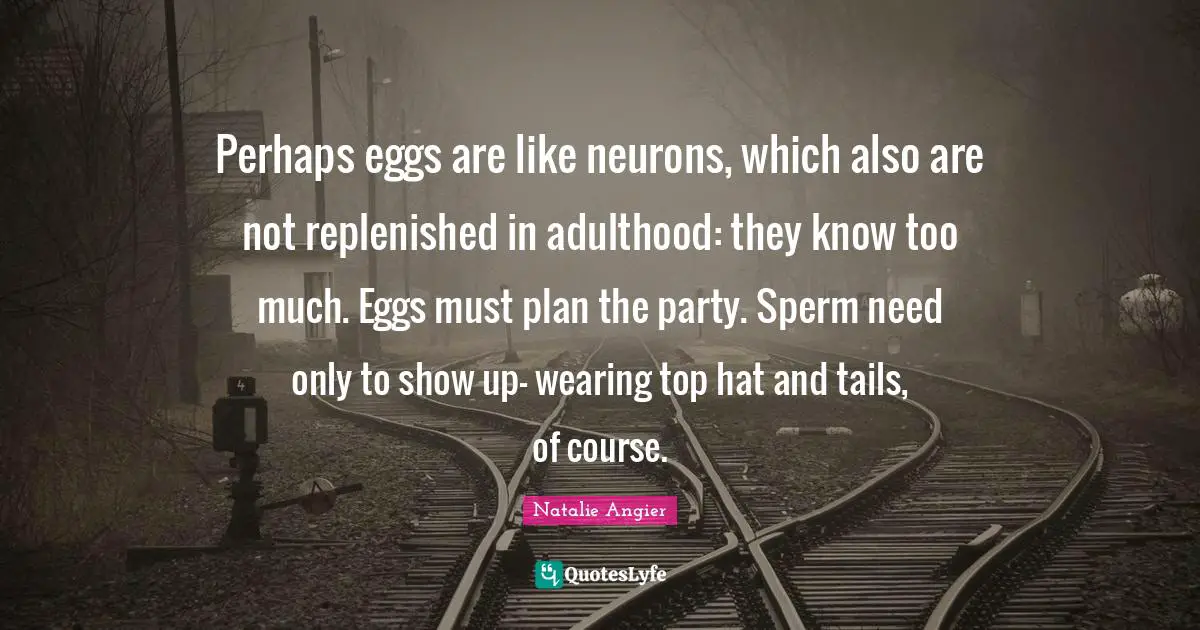 Perhaps eggs are like neurons, which also are not replenished in adulthood: they know too much. Eggs must plan the party. Sperm need only to show up- wearing top hat and tails, of course.