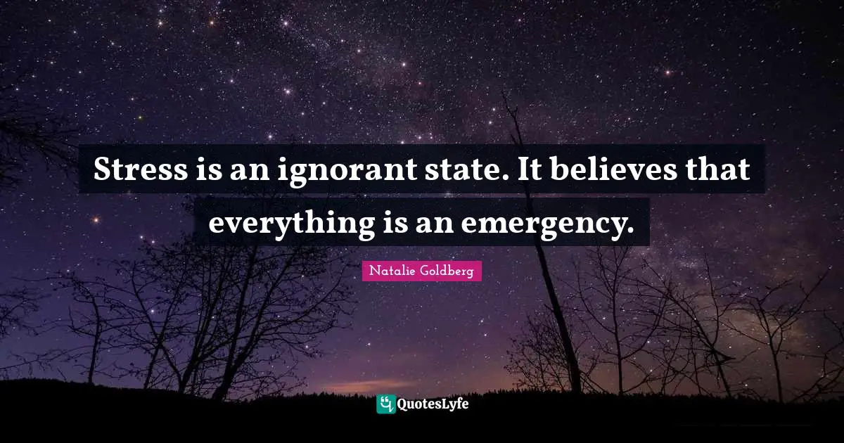 Stress Quotes: "Stress is an ignorant state. It believes that everything is an emergency."