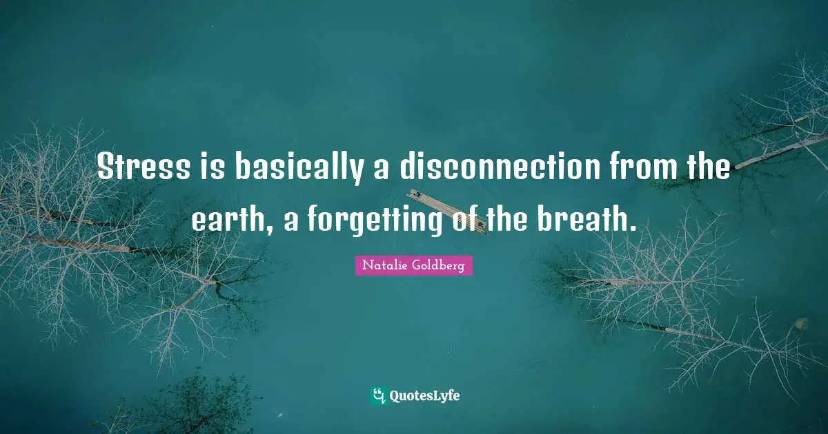 Disconnection Quotes: "Stress is basically a disconnection from the earth, a forgetting of the breath."
