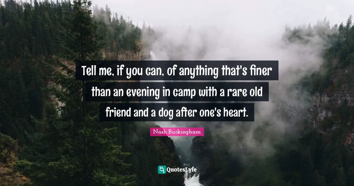 Tell me, if you can, of anything that's finer than an evening in camp with a rare old friend and a dog after one's heart.
