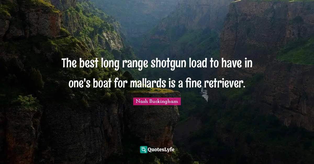The best long range shotgun load to have in one's boat for mallards is a fine retriever.