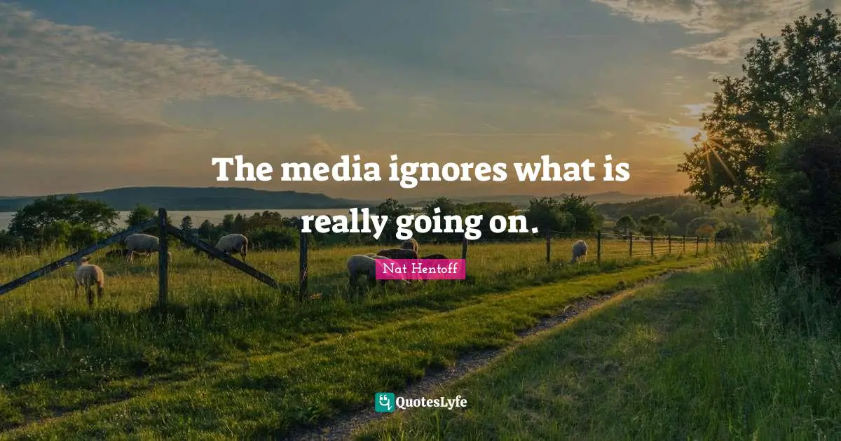 The media ignores what is really going on.