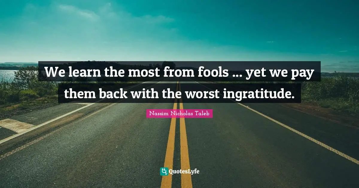 Ingratitude Quotes: "We learn the most from fools ... yet we pay them back with the worst ingratitude."