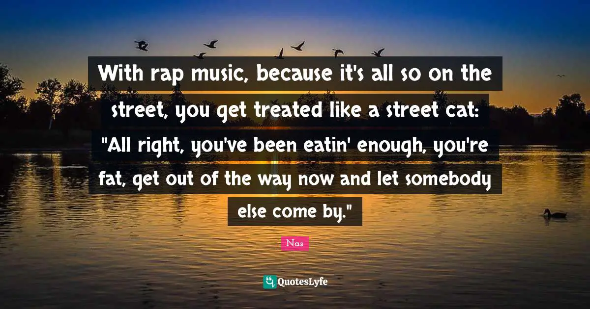 Treated Quotes: "With rap music, because it's all so on the street, you get treated like a street cat: "All right, you've been eatin' enough, you're fat, get out of the way now and let somebody else come by.""