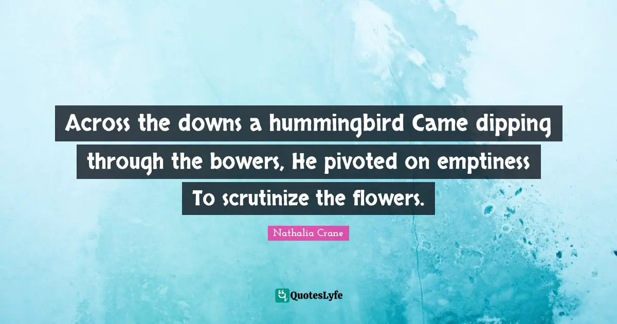 Emptiness Quotes: "Across the downs a hummingbird Came dipping through the bowers, He pivoted on emptiness To scrutinize the flowers."