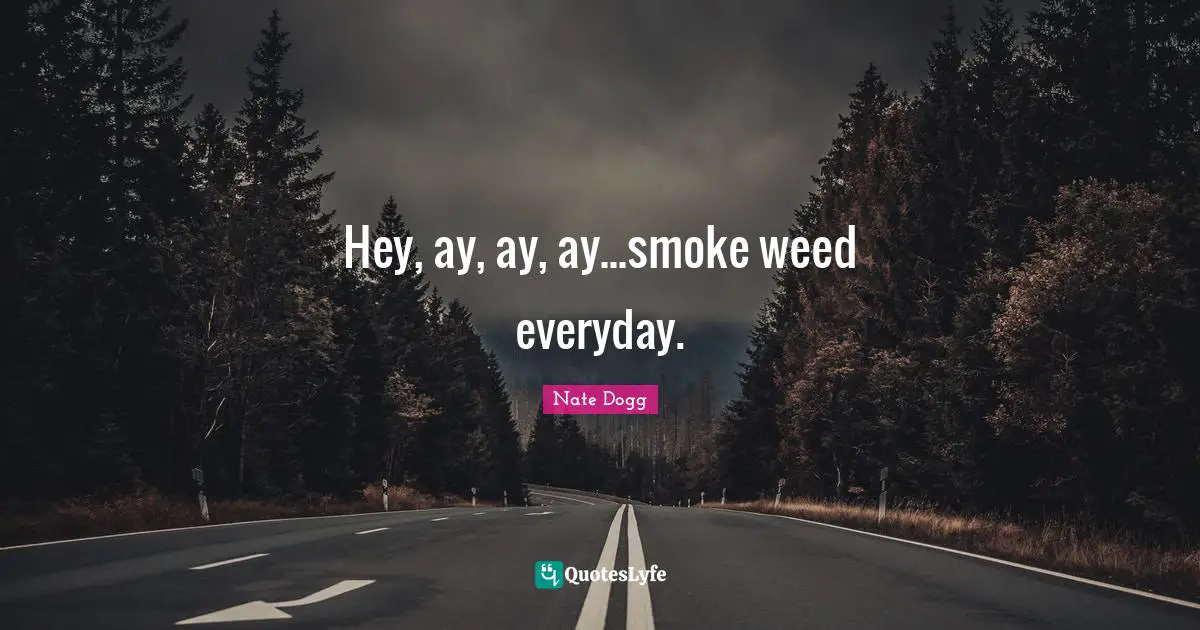 Hey, ay, ay, ay...smoke weed everyday.