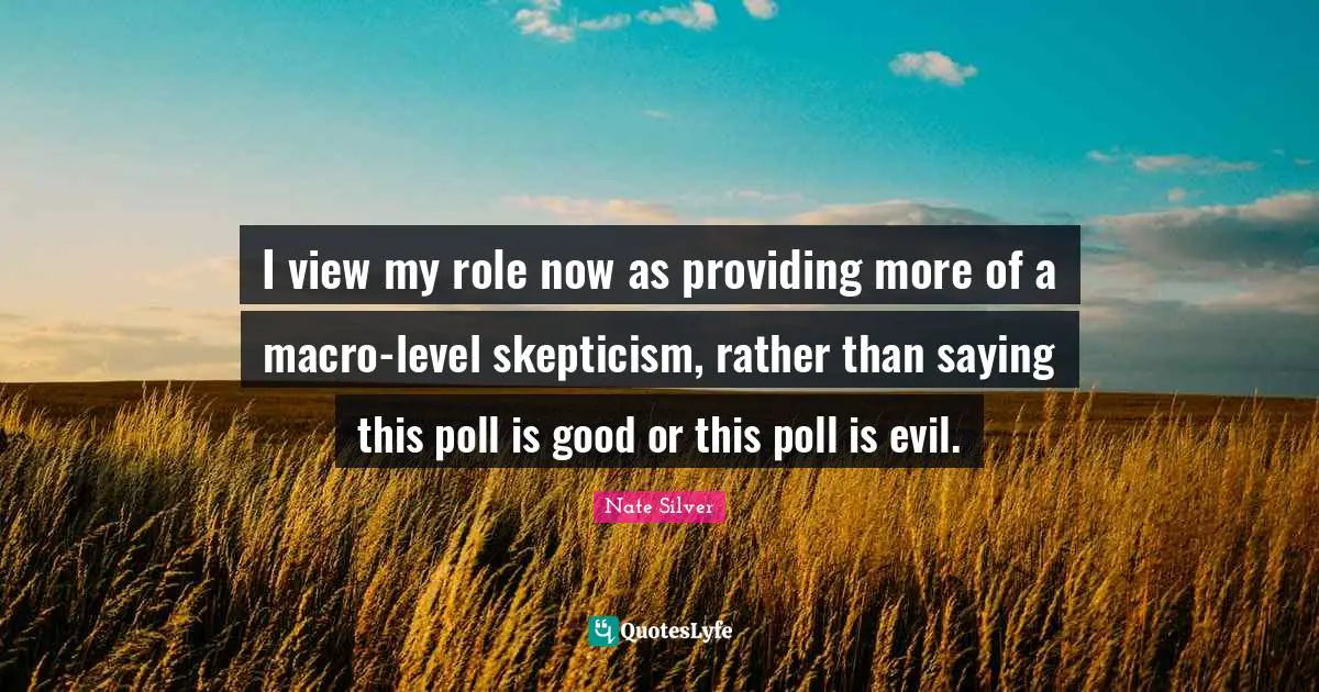 I view my role now as providing more of a macro-level skepticism, rather than saying this poll is good or this poll is evil.