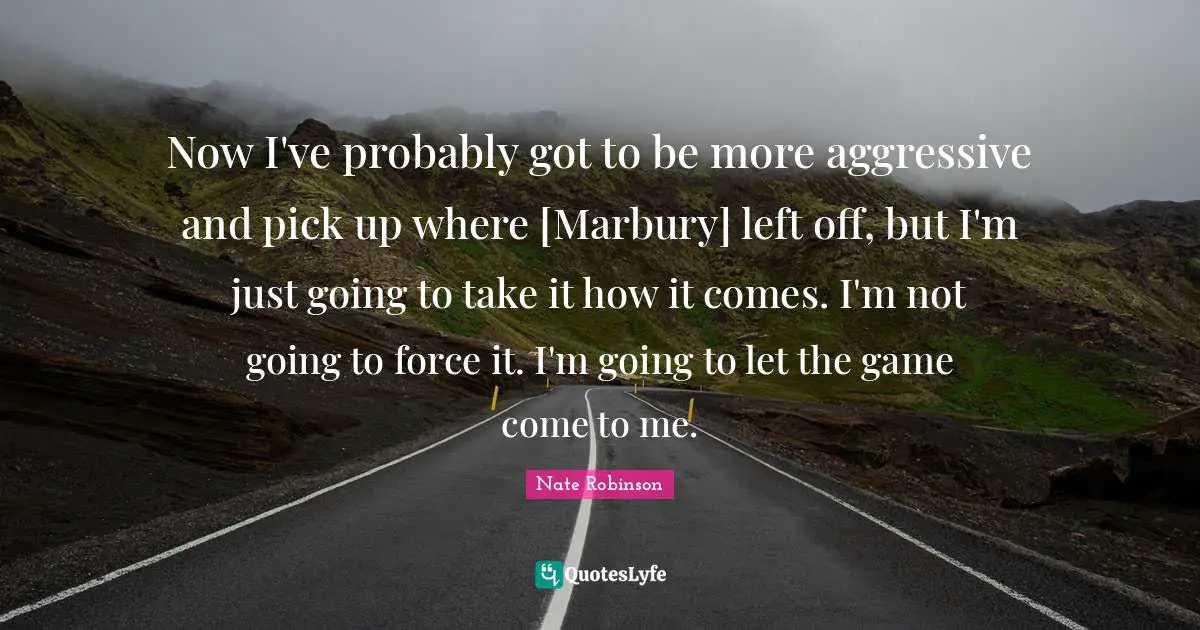 Nate Robinson Quotes: "Now I've probably got to be more aggressive and pick up where [Marbury] left off, but I'm just going to take it how it comes. I'm not going to force it. I'm going to let the game come to me."