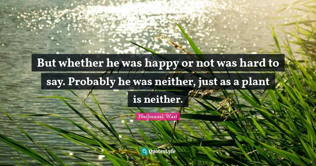But whether he was happy or not was hard to say. Probably he was neither, just as a plant is neither.
