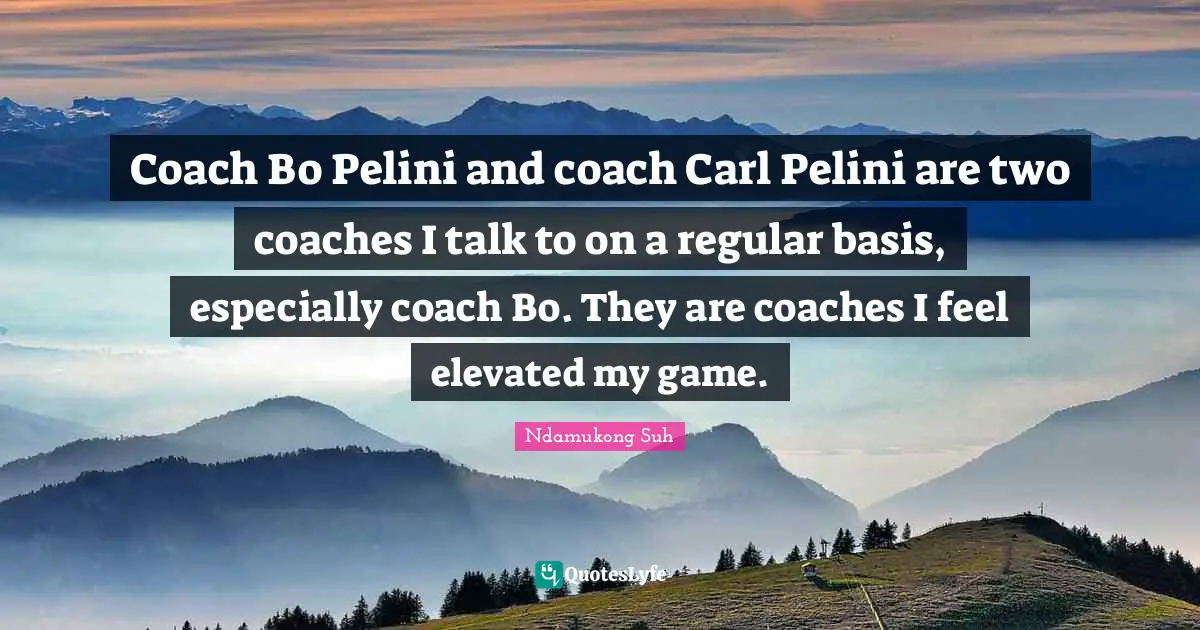 Coach Bo Pelini and coach Carl Pelini are two coaches I talk to on a regular basis, especially coach Bo. They are coaches I feel elevated my game.