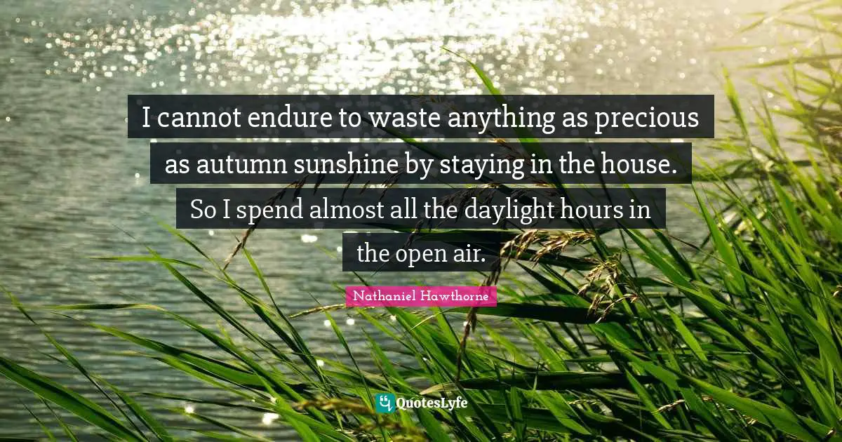 I cannot endure to waste anything as precious as autumn sunshine by staying in the house. So I spend almost all the daylight hours in the open air.