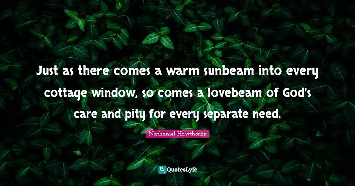 Just as there comes a warm sunbeam into every cottage window, so comes a lovebeam of God's care and pity for every separate need.