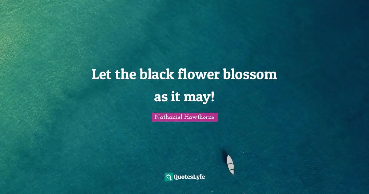 Let the black flower blossom as it may!