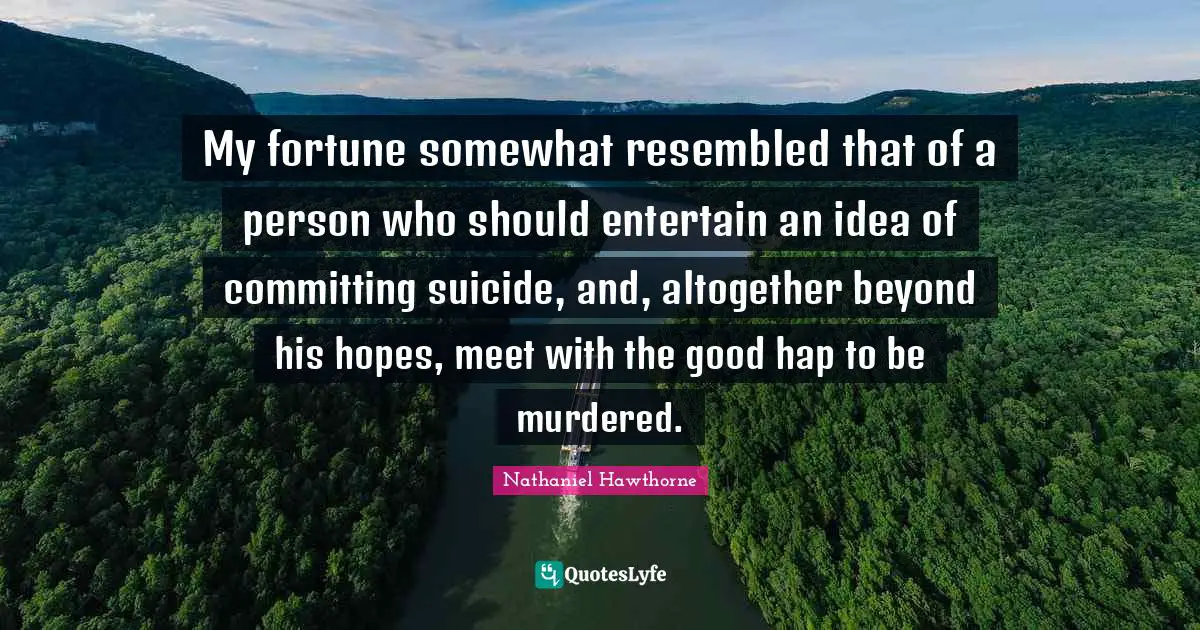 My fortune somewhat resembled that of a person who should entertain an idea of committing suicide, and, altogether beyond his hopes, meet with the good hap to be murdered.