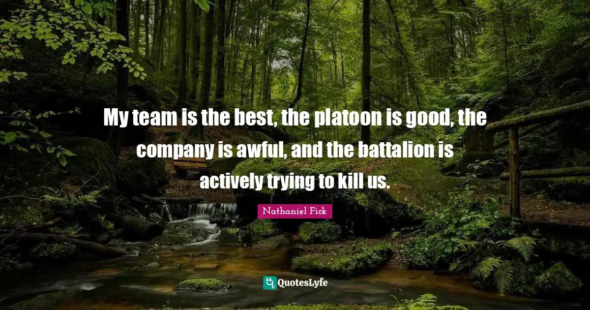 My team is the best, the platoon is good, the company﻿ is awful, and the battalion is actively trying to kill us.