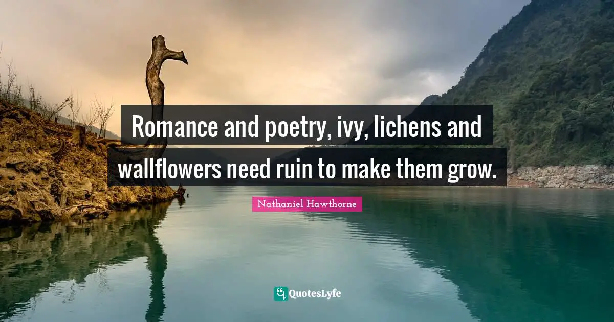 Romance and poetry, ivy, lichens and wallflowers need ruin to make them grow.
