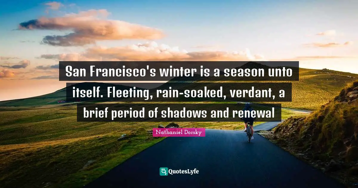 San Francisco's winter is a season unto itself. Fleeting, rain-soaked, verdant, a brief period of shadows and renewal