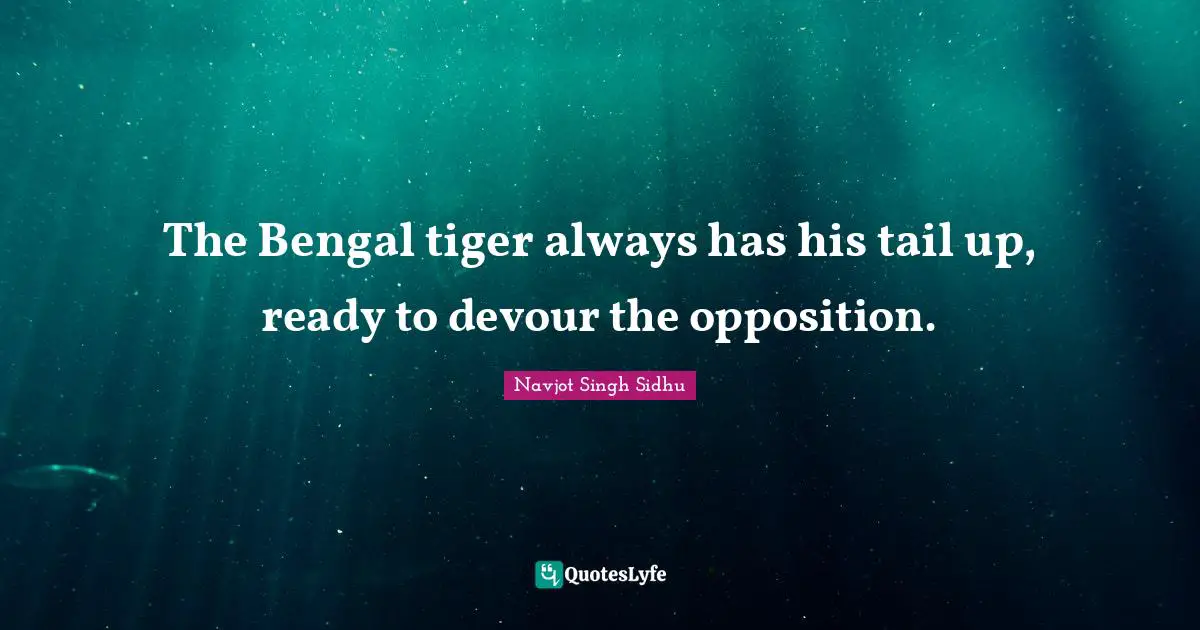 Tigers Quotes: "The Bengal tiger always has his tail up, ready to devour the opposition."