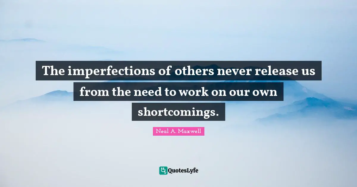 Shortcomings Quotes: "The imperfections of others never release us from the need to work on our own shortcomings."
