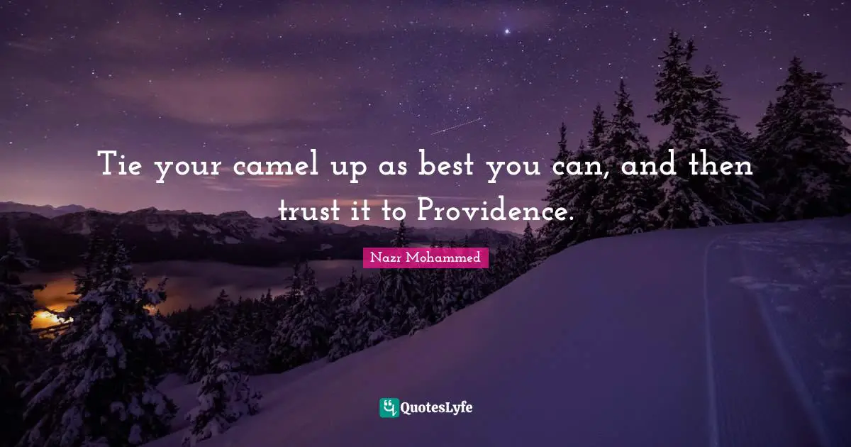 Camels Quotes: "Tie your camel up as best you can, and then trust it to Providence."