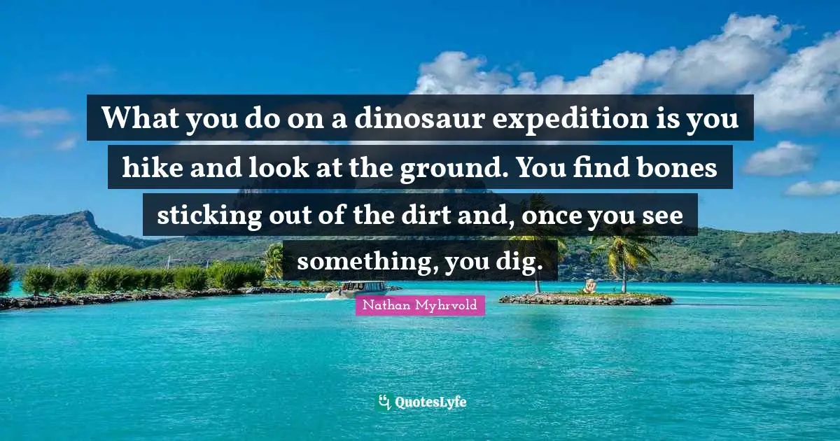 What you do on a dinosaur expedition is you hike and look at the ground. You find bones sticking out of the dirt and, once you see something, you dig.