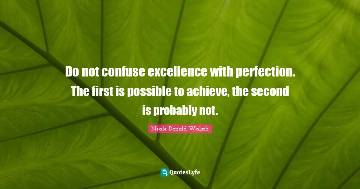 Do not confuse excellence with perfection. The first is possible to achieve, the second is probably not.