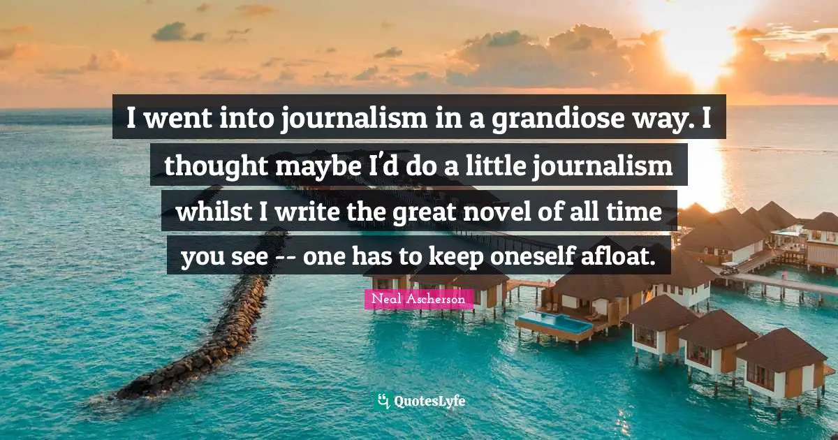 I went into journalism in a grandiose way. I thought maybe I'd do a little journalism whilst I write the great novel of all time you see -- one has to keep oneself afloat.