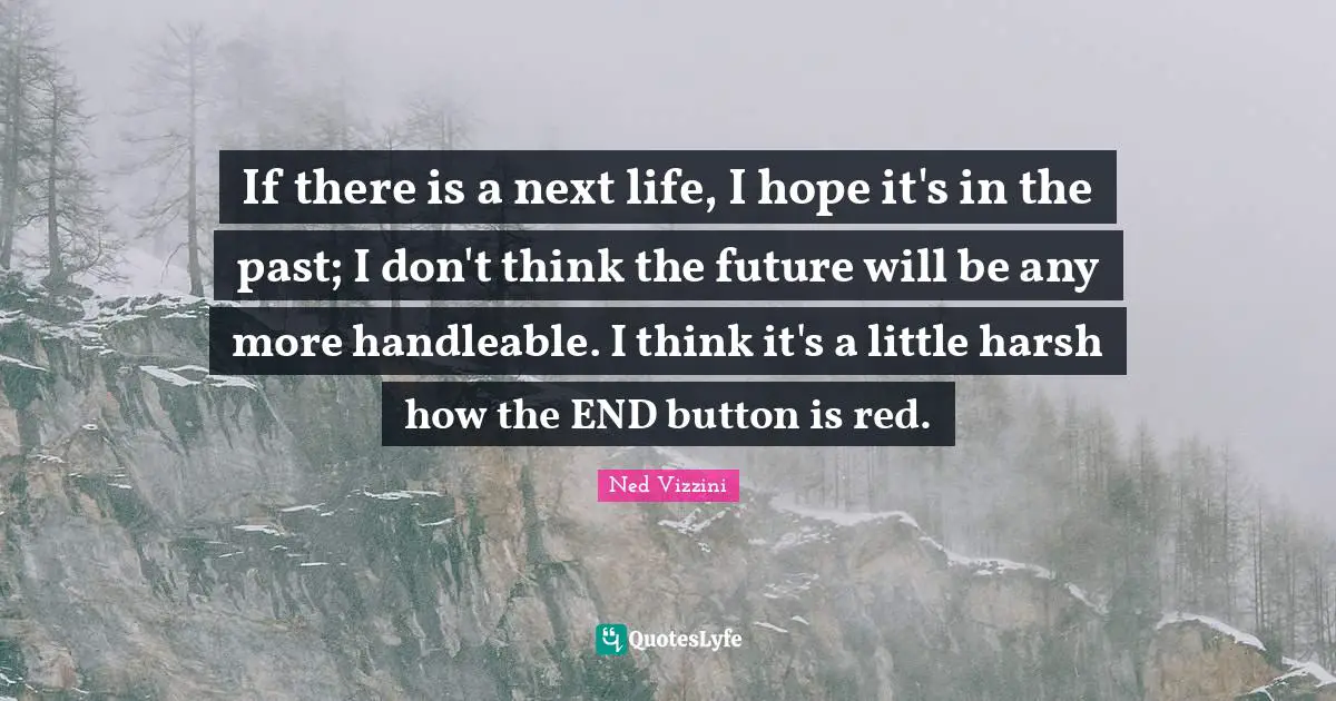 If there is a next life, I hope it's in the past; I don't think the future will be any more handleable. I think it's a little harsh how the END button is red.