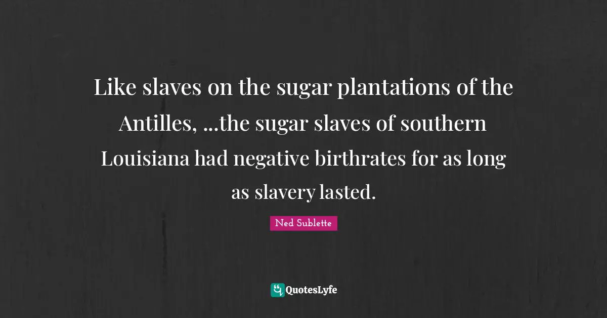 Like slaves on the sugar plantations of the Antilles, ...the sugar slaves of southern Louisiana had negative birthrates for as long as slavery lasted.