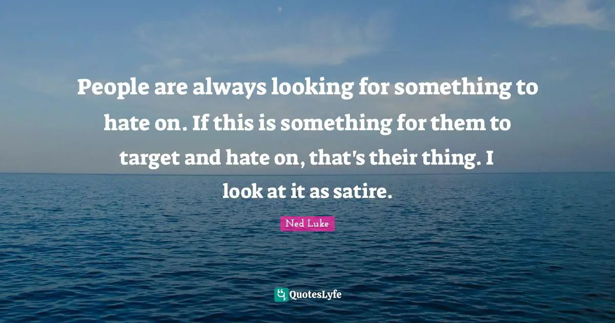 People are always looking for something to hate on. If this is something for them to target and hate on, that's their thing. I look at it as satire.