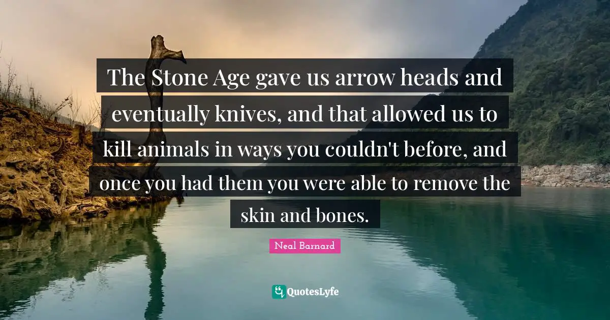 The Stone Age gave us arrow heads and eventually knives, and that allowed us to kill animals in ways you couldn't before, and once you had them you were able to remove the skin and bones.
