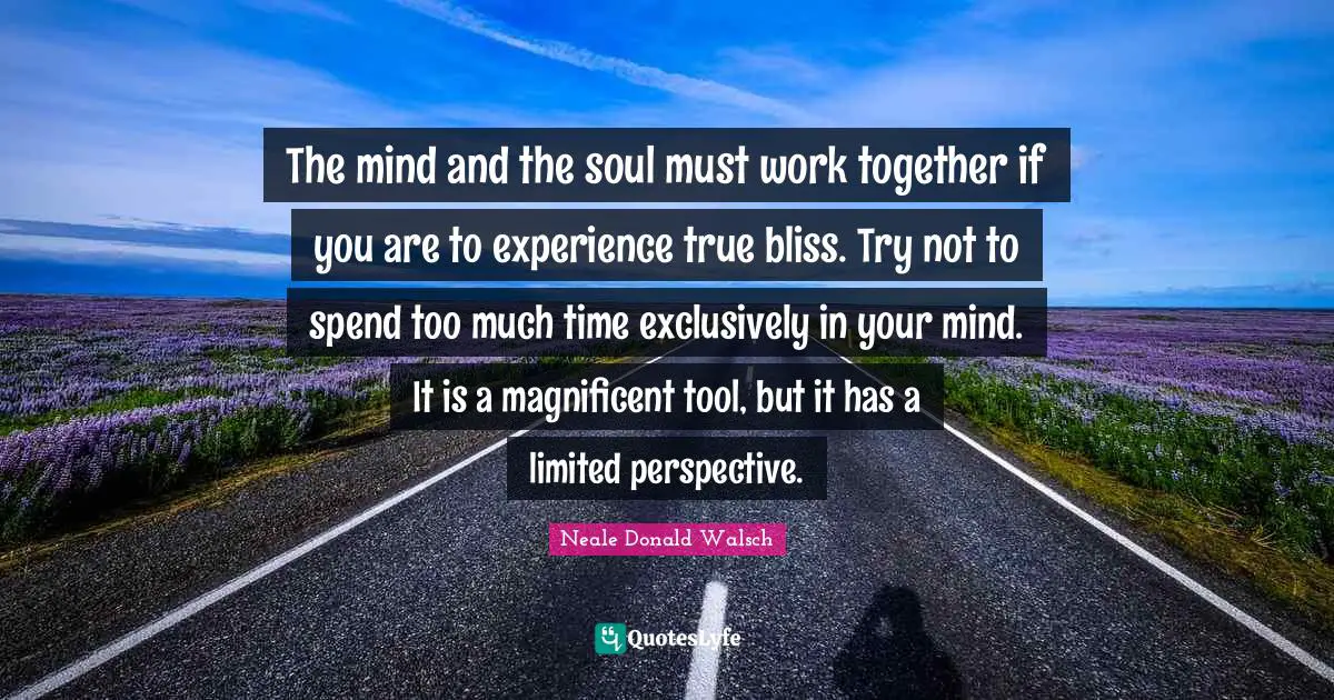The mind and the soul must work together if you are to experience true bliss. Try not to spend too much time exclusively in your mind. It is a magnificent tool, but it has a limited perspective.