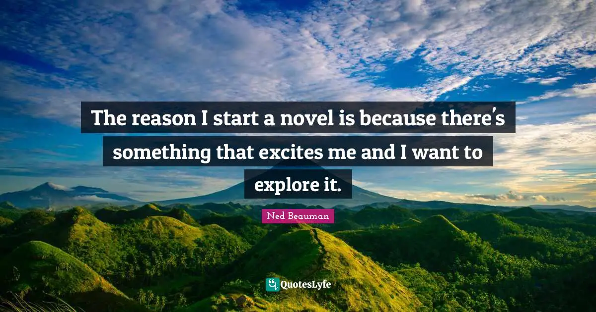 The reason I start a novel is because there's something that excites me and I want to explore it.
