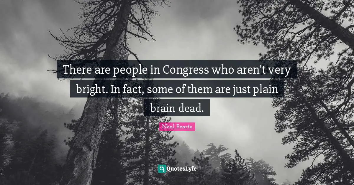 There are people in Congress who aren't very bright. In fact, some of them are just plain brain-dead.