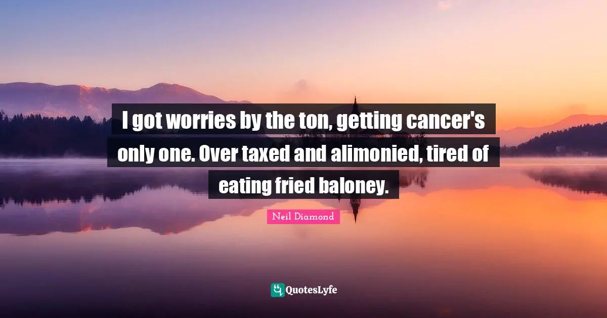 I got worries by the ton, getting cancer's only one. Over taxed and alimonied, tired of eating fried baloney.