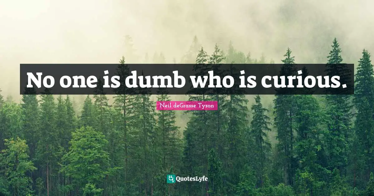 No one is dumb who is curious.
