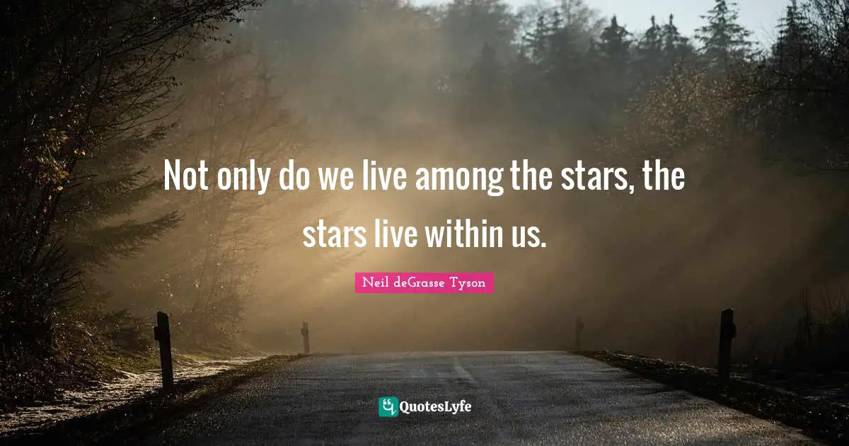 Not only do we live among the stars, the stars live within us.
