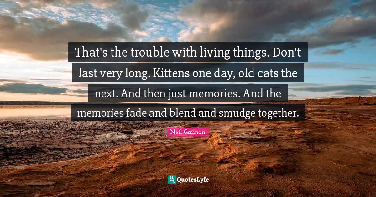 That's the trouble with living things. Don't last very long. Kittens one day, old cats the next. And then just memories. And the memories fade and blend and smudge together.