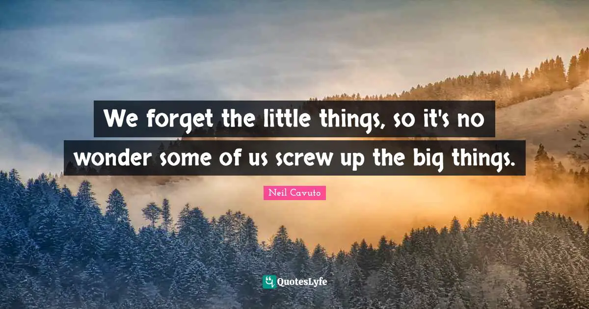 Neil Cavuto Quotes: "We forget the little things, so it's no wonder some of us screw up the big things."
