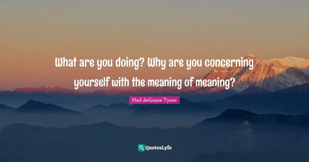 What are you doing? Why are you concerning yourself with the meaning of meaning?