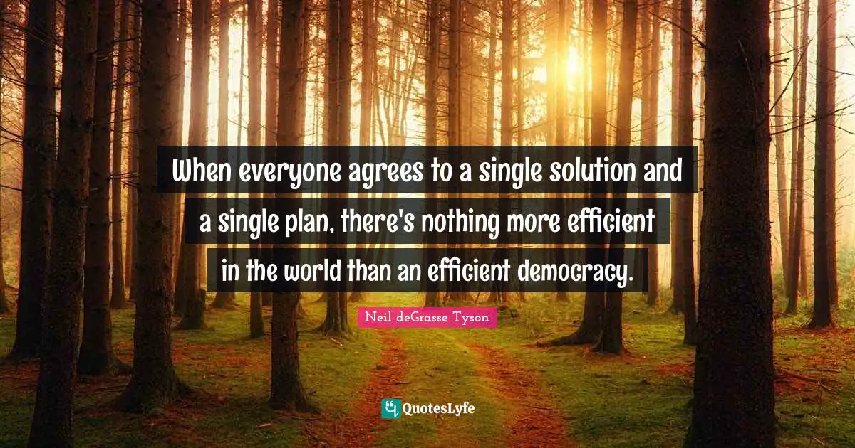When everyone agrees to a single solution and a single plan, there's nothing more efficient in the world than an efficient democracy.