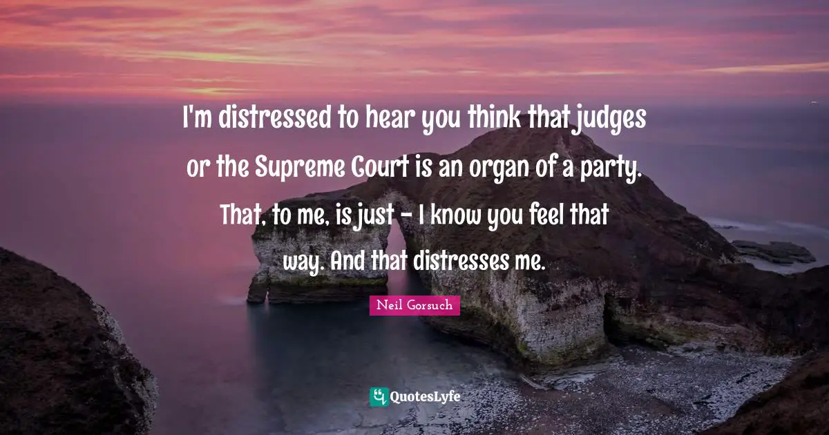I'm distressed to hear you think that judges or the Supreme Court is an organ of a party. That, to me, is just - I know you feel that way. And that distresses me.