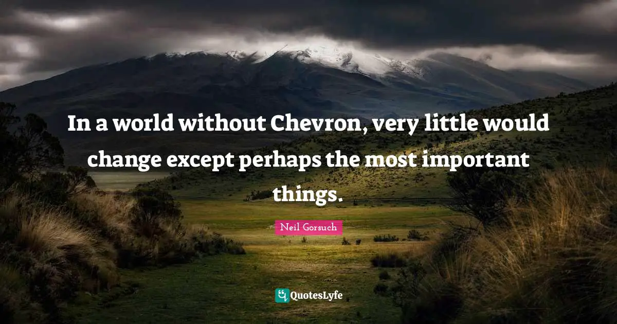 In a world without Chevron, very little would change except perhaps the most important things.