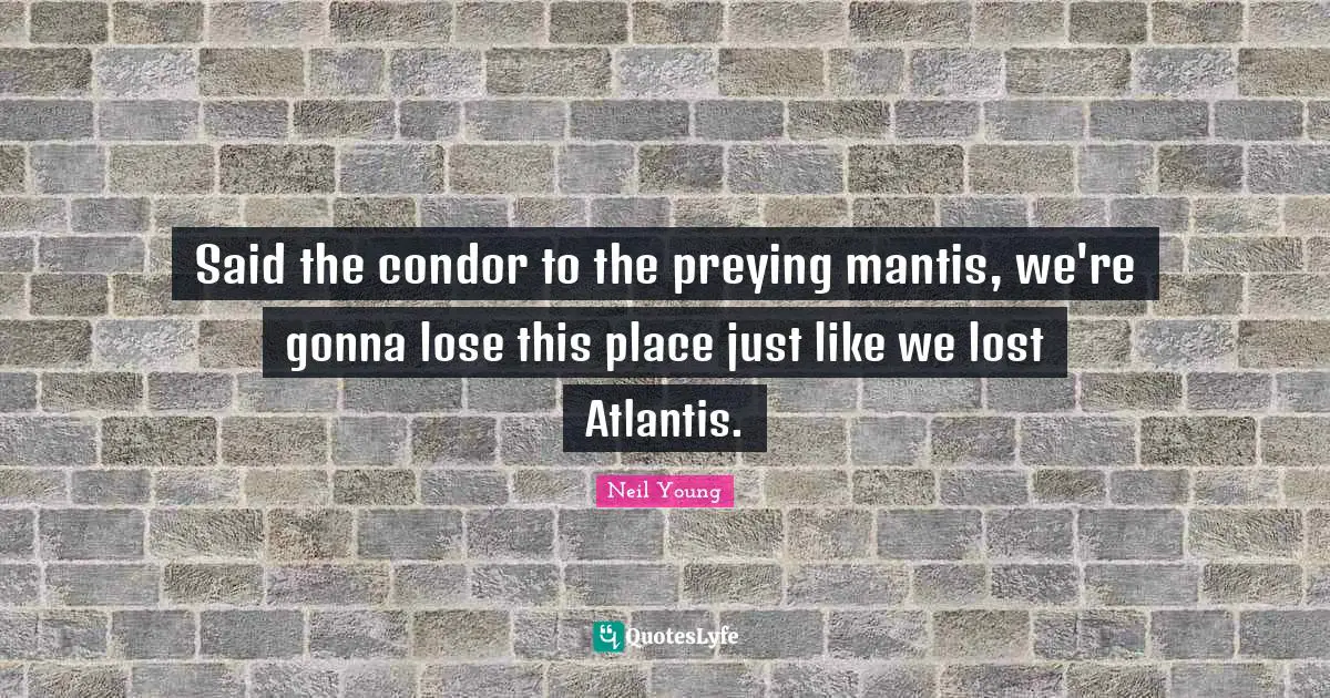 Said the condor to the preying mantis, we're gonna lose this place just like we lost Atlantis.