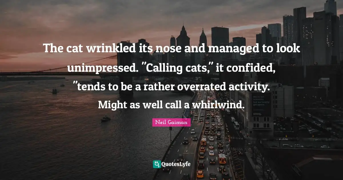 The cat wrinkled its nose and managed to look unimpressed. "Calling cats," it confided, "tends to be a rather overrated activity. Might as well call a whirlwind.